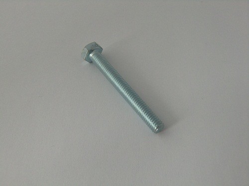 Bult M6 x 50 mm